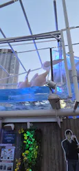 サンシャイン水族館に投稿された画像（2026/5/17）