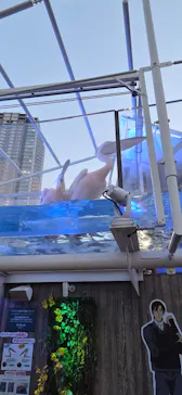 サンシャイン水族館に投稿された画像（2026/5/17）