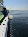 ATSUKU Japan Fishing Experience Hostに投稿された画像（2026/5/17）