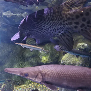 仙台うみの杜水族館に投稿された画像（2026/5/17）