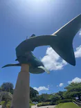 セルリアンブルーに投稿された画像（2026/5/17）
