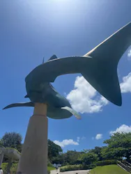 セルリアンブルーに投稿された画像（2026/5/17）