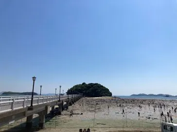 竹島水族館に投稿された画像（2026/5/17）