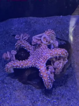 竹島水族館に投稿された画像（2026/5/17）