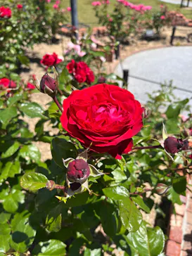 名古屋市東山動植物園に投稿された画像（2026/5/17）