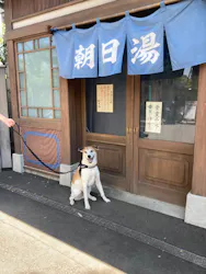 西武園ゆうえんちに投稿された画像（2026/5/17）