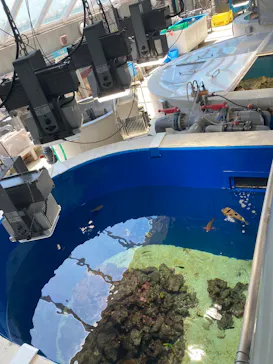 葛西臨海水族園に投稿された画像（2026/5/17）