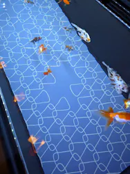 すみだ水族館に投稿された画像（2026/5/17）