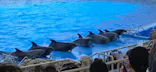 名古屋港水族館に投稿された画像（2026/5/18）