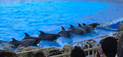 名古屋港水族館に投稿された画像（2026/5/17）