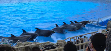 名古屋港水族館に投稿された画像（2026/5/17）