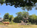 天王寺動物園に投稿された画像（2026/5/18）