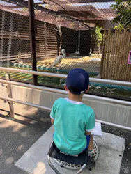 天王寺動物園に投稿された画像（2026/5/17）