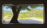 足立美術館に投稿された画像（2026/5/18）