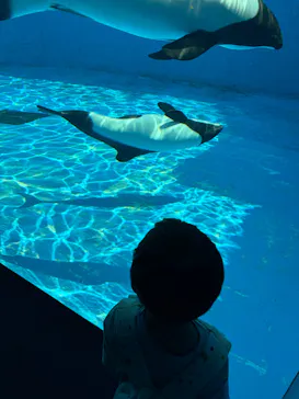 仙台うみの杜水族館に投稿された画像（2026/5/17）