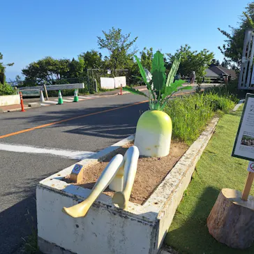 自然体感展望台 六甲枝垂れに投稿された画像（2026/5/17）