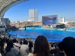 名古屋港水族館に投稿された画像（2026/5/18）