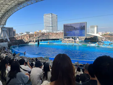 名古屋港水族館に投稿された画像（2026/5/18）