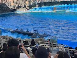 名古屋港水族館に投稿された画像（2026/5/18）