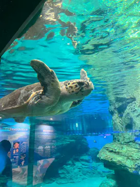 名古屋港水族館に投稿された画像（2026/5/18）