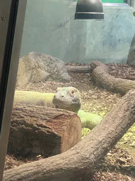 名古屋市東山動植物園に投稿された画像（2026/5/18）