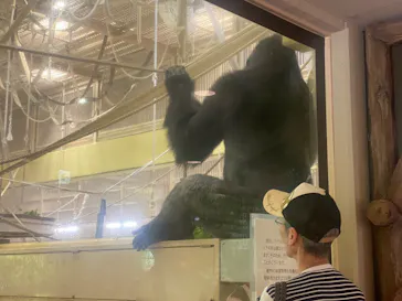 名古屋市東山動植物園に投稿された画像（2026/5/18）