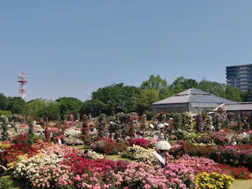 京成バラ園に投稿された画像（2026/5/18）