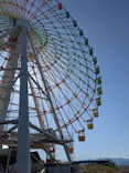 ひらかたパークに投稿された画像（2026/5/18）