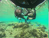 武藤潜水に投稿された画像（2026/5/18）