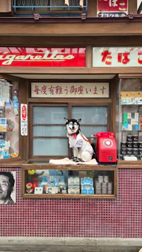 西武園ゆうえんちに投稿された画像（2026/5/18）