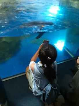 新江ノ島水族館に投稿された画像（2026/5/18）