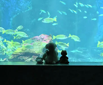 マリンワールド海の中道に投稿された画像（2026/5/18）