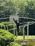 千葉市動物公園に投稿された画像（2026/5/18）