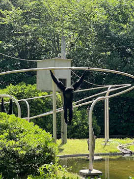 千葉市動物公園に投稿された画像（2026/5/18）