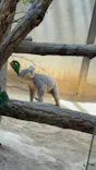 名古屋市東山動植物園に投稿された画像（2026/5/18）