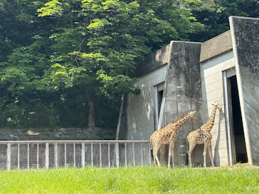 名古屋市東山動植物園に投稿された画像（2026/5/18）