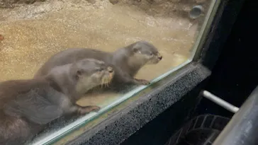 名古屋市東山動植物園に投稿された画像（2026/5/18）