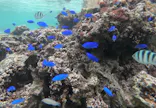 武藤潜水に投稿された画像（2026/5/18）