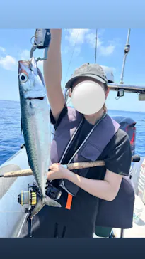 SeafariJapanに投稿された画像（2026/5/18）