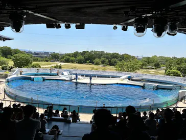 京都鉄道博物館×京都水族館に投稿された画像（2026/5/18）