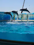 新江ノ島水族館に投稿された画像（2026/5/18）