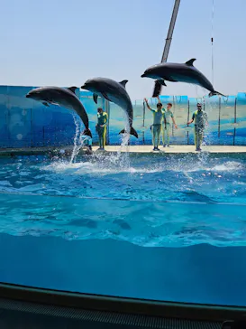 新江ノ島水族館に投稿された画像（2026/5/18）