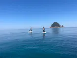 Hick surf shop Factory（ヒックサーフショプファクトリー）に投稿された画像（2026/5/18）