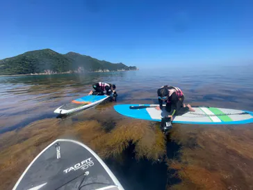 Hick surf shop Factory（ヒックサーフショプファクトリー）に投稿された画像（2026/5/18）