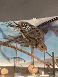 福井県立恐竜博物館に投稿された画像（2026/5/18）