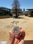 天王寺動物園に投稿された画像（2026/5/18）