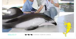城崎マリンワールドに投稿された画像（2026/5/18）