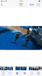 仙台うみの杜水族館に投稿された画像（2026/5/18）