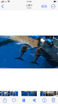 仙台うみの杜水族館に投稿された画像（2026/5/18）