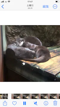 仙台うみの杜水族館に投稿された画像（2026/5/18）
